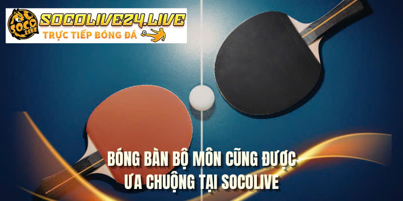 Bóng bàn bộ môn cũng được ưa chuộng tại SOCOLIVE