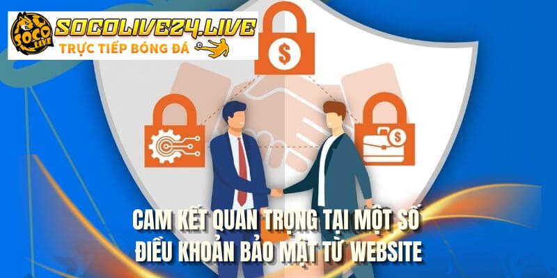 Cam kết quan trọng tại một số điều khoản bảo mật từ website