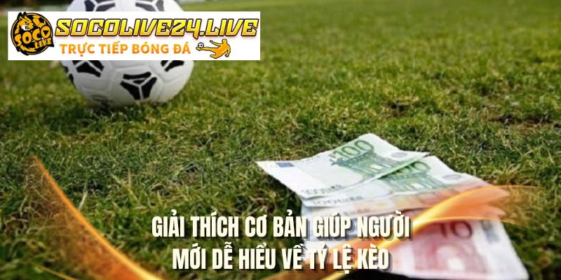 Giải thích cơ bản giúp người mới dễ hiểu về tỷ lệ kèo